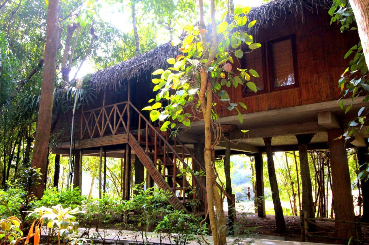 Pepper Green Wayanad Resort With Swimming Pool Kattikkulam Exterior photo