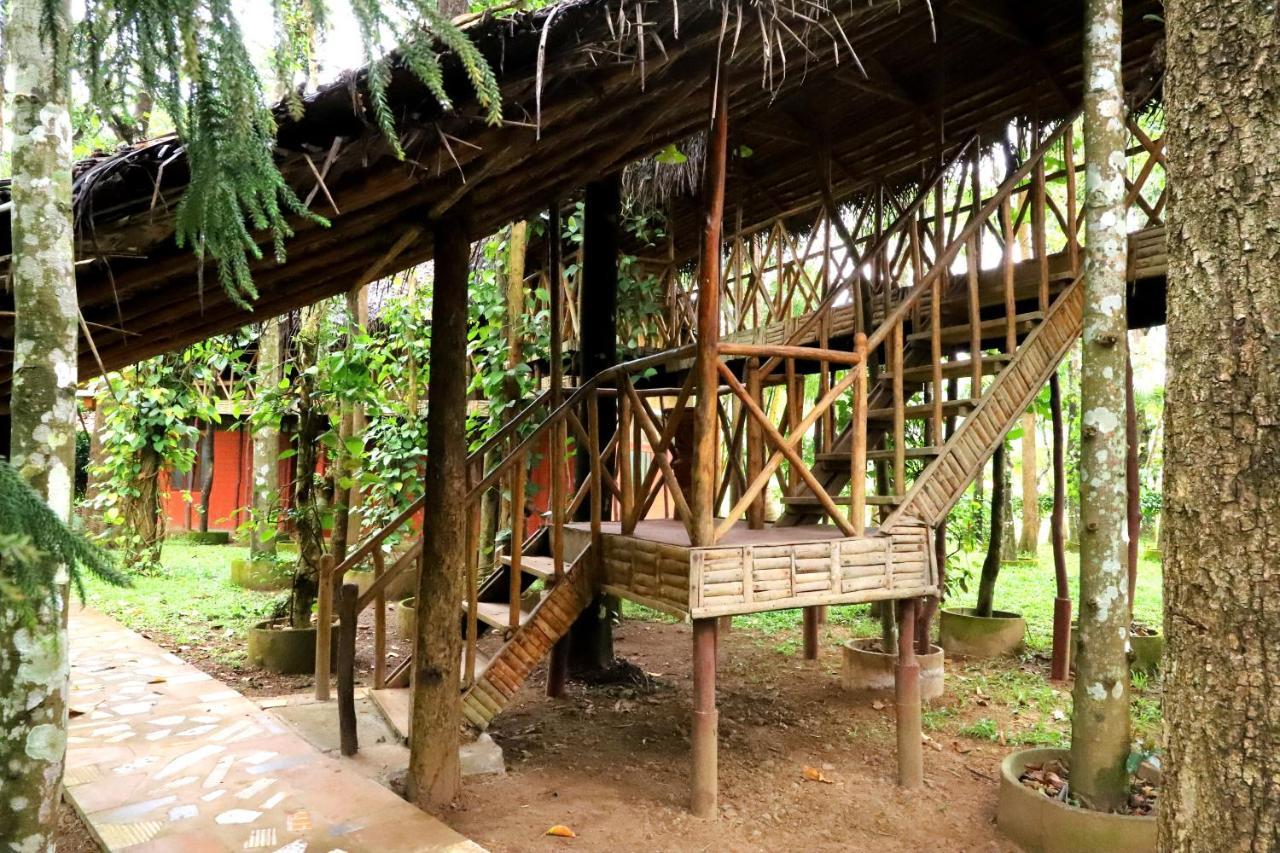Pepper Green Wayanad Resort With Swimming Pool Kattikkulam Exterior photo