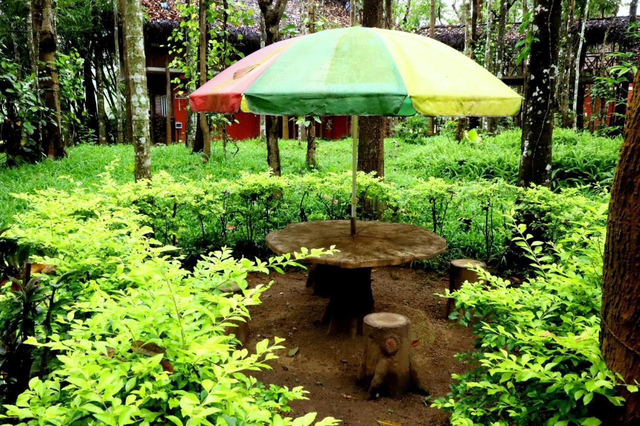 Pepper Green Wayanad Resort With Swimming Pool Kattikkulam Exterior photo