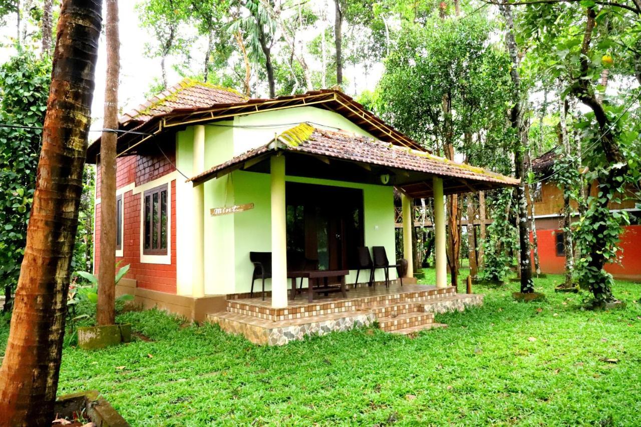 Pepper Green Wayanad Resort With Swimming Pool Kattikkulam Exterior photo